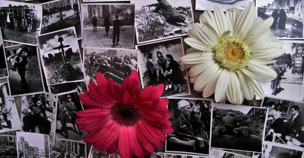 To dzięki powstańcom dzisiaj jesteśmy bezpieczni (krótka)