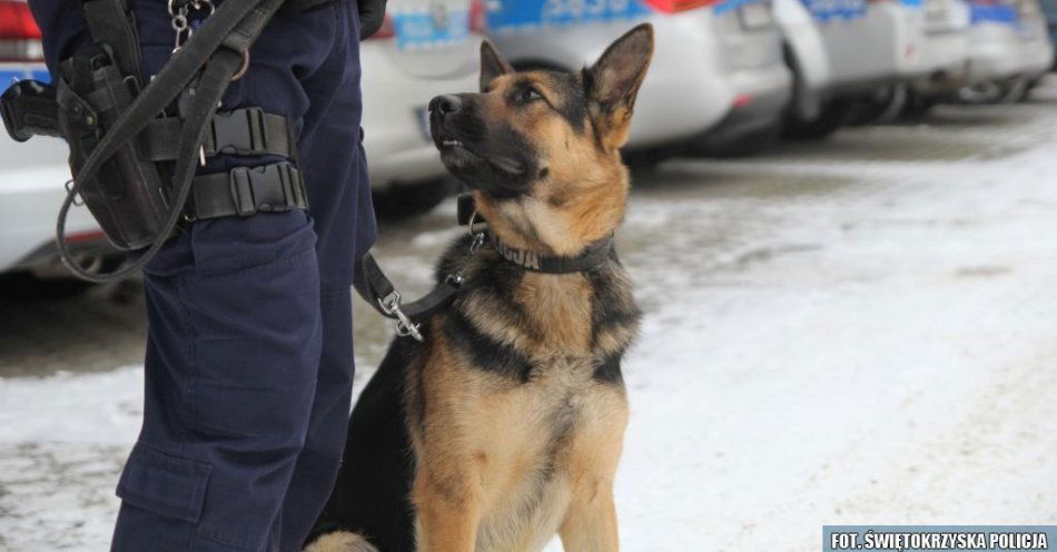 zdjęcie: Praca policjanta od kuchni / fot. KPP Staszów