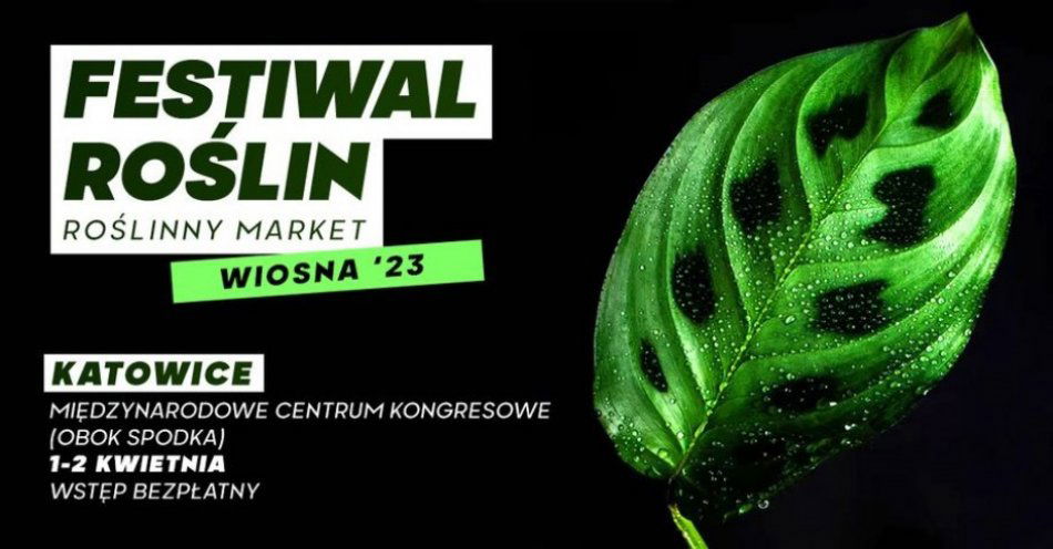 zdjęcie: Festiwal roślin - wiosna 23 / pixabay/327188