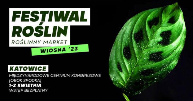 Festiwal roślin - wiosna 23