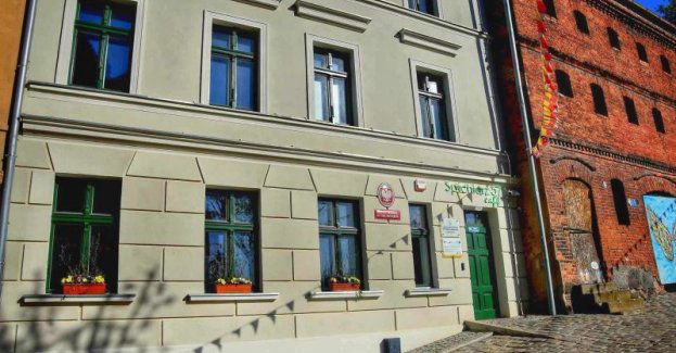 Szkolenia dla NGO