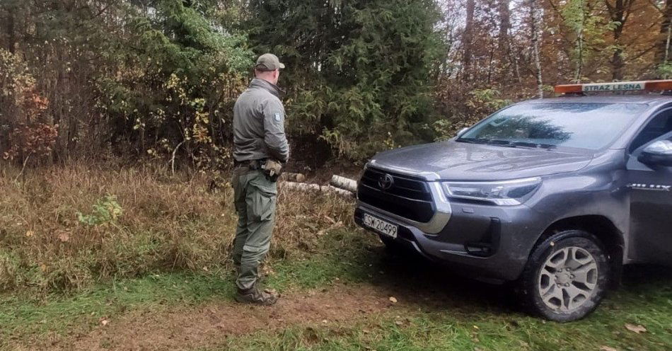 zdjęcie: Wspólne patrole policji i straży leśnej zwiększają bezpieczeństwo / fot. KPP w Świeciu
