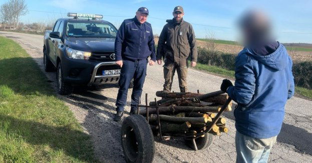 Dzielnicowi ze strażnikiem leśnym zatrzymali sprawcę kradzieży drewna