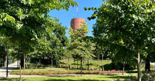 Tajemnice krzyżackiego zamku - poszukiwanie skarbu - gra plenerowa w ramach Muzeum na leżaku