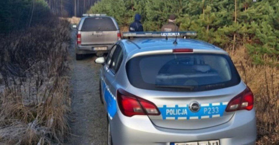 zdjęcie: Akcja CHOINKA w walce z kradzieżami drzewek / fot. KMP w Gliwicach