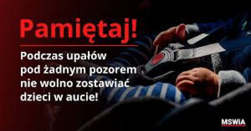 zdjęcie: Zostawiasz dziecko lub zwierzę w aucie? Ryzykujesz ich życie! / fot. KPP w Sierpcu