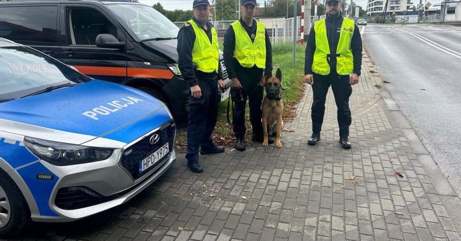 zdjęcie: Policja i Straż Ochrony Kolei w akcji RAW poprawiają bezpieczeństwo / fot. KPP Łuków