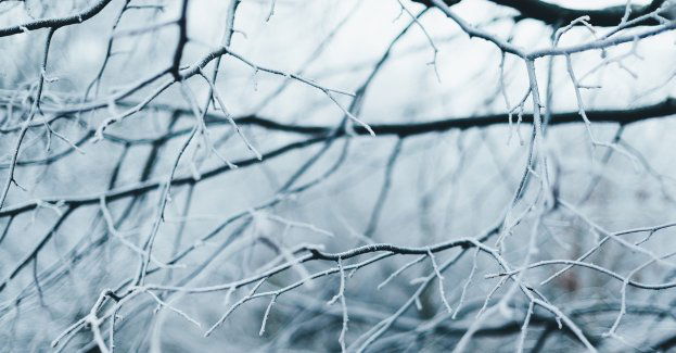 Ostrzeżenie przed silnym mrozem dla południowo-wschodniej części regionu