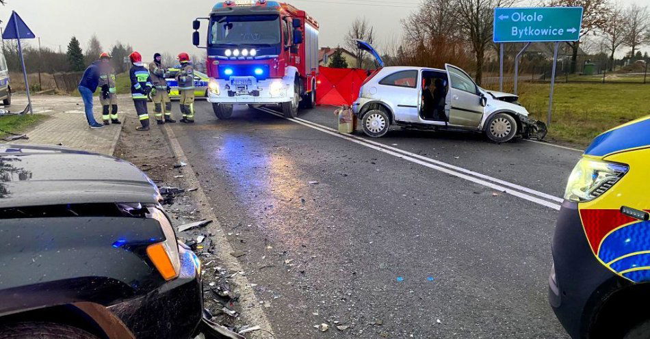 zdjęcie: Śmiertelny wypadek na DK 25 / fot. KWP w Bydgoszczy