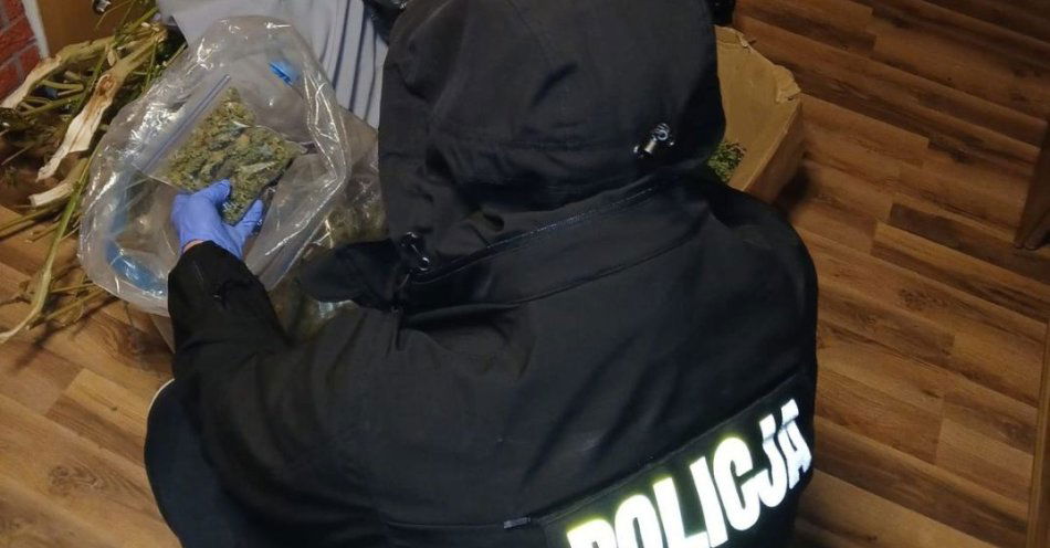 zdjęcie: Policja z Buska zabezpieczyła niemal 11 kg marihuany / fot. KPP Busko-Zdrój