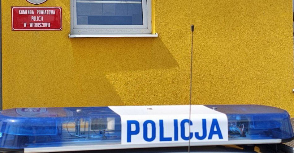 zdjęcie: Wypadek na ekspresowej ósemce / fot. KPP w Wieruszowie
