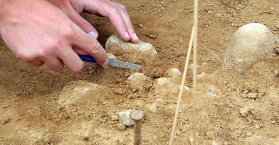 zdjęcie: Archeolodzy ponownie w Zwoleniu (woj. mazowieckie) badają pozostalości neandertalczyka / fot. PAP