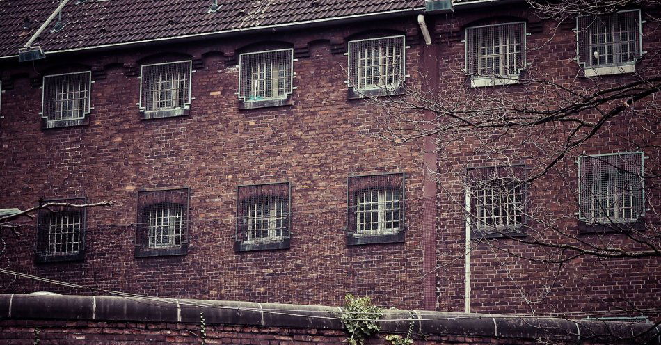 zdjęcie: Bydgoscy policjanci zatrzymali w ostatnich dniach aż 63 poszukiwanych / pixabay/1198350