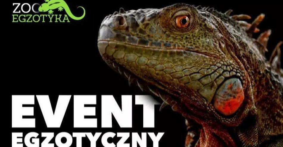 zdjęcie: ZooEgzotyka / kupbilecik24.pl / ZooEgzotyka