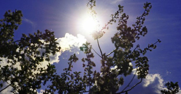 W poniedziałek pogodnie, najcieplej na północnym zachodzie 18 st. C
