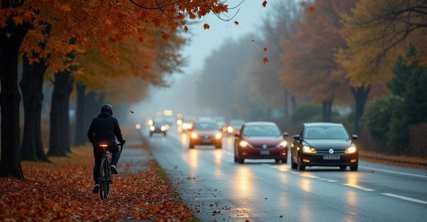 Uwaga kierowcy i piesi: jak bezpiecznie jeździć jesienią
