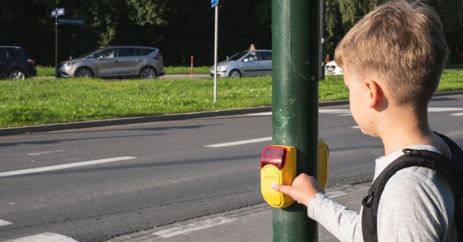 zdjęcie: 10 miesięcy więzienia w zawieszeniu za potrącenie dziecka na przejściu / v12623284