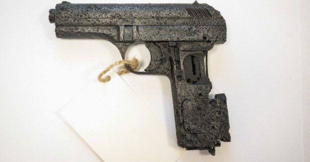 Obozowisko oddziału AK "Świerki 101" odkryte we Wdeckim Parku Krajobrazowym