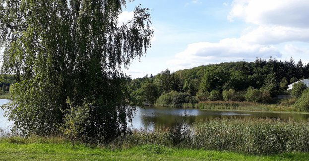 Kartuzy: serce kaszubskiego krajobrazu