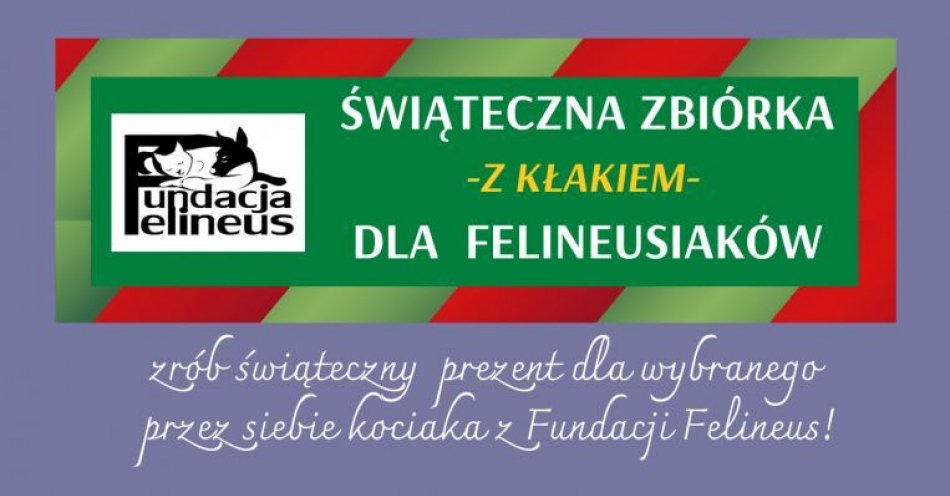 zdjęcie: Świąteczna Zbiórka  - z kłakiem - DLA FELINEUSIAKÓW / fot. nadesłane