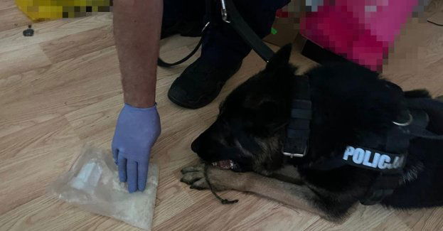 Wpadł na wykroczeniu drogowym, a chwilę potem za narkotyki