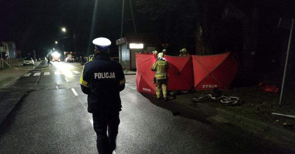 zdjęcie: Tymczasowy areszt dla sprawcy wypadku / fot. KPP Wrzesnia