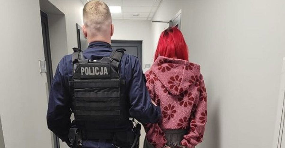 zdjęcie: 42 zarzuty za handel narkotykami / fot. KPP Gniezno