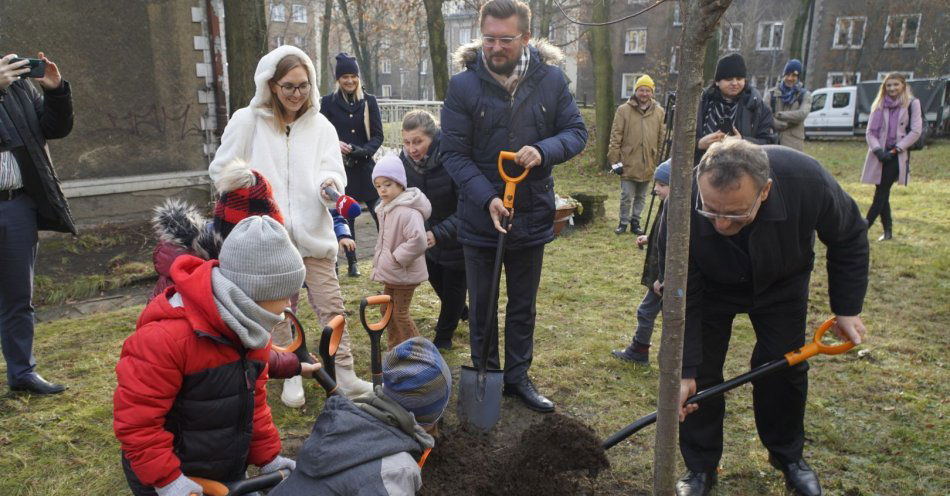 zdjęcie: Kolejne drzewa z aplikacji wCOP-ane / fot. nadesłane