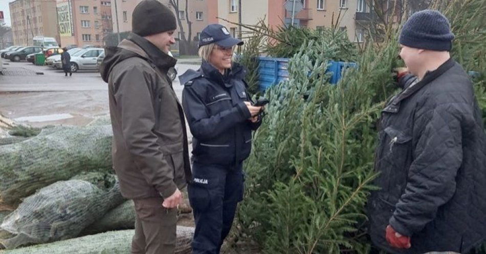 zdjęcie: Policjanci i Strażnicy Leśni dbają o legalność choinek i świątecznego stroiszu / fot. KPP w Pułtusku