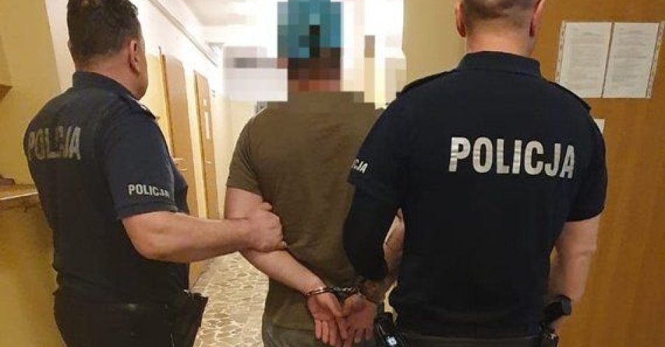 zdjęcie: Zatrzymaliśmy sprawcę przemocy domowej / fot. KPP Lubartów