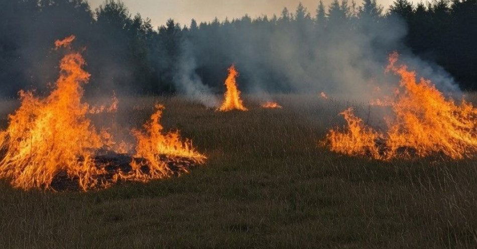 zdjęcie: Wypalanie traw grozi ludziom i przyrodzie / fot. KPP w Żyrardowie