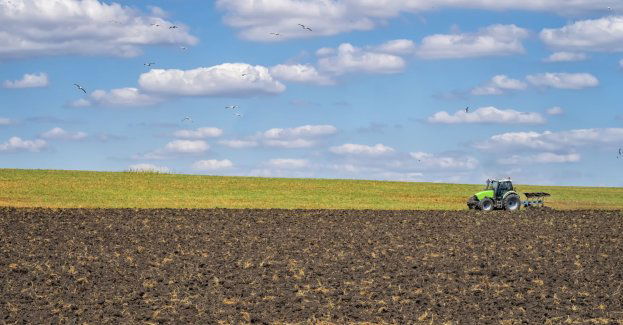Już w tej chwili rolnicy mówią, że mamy suszę