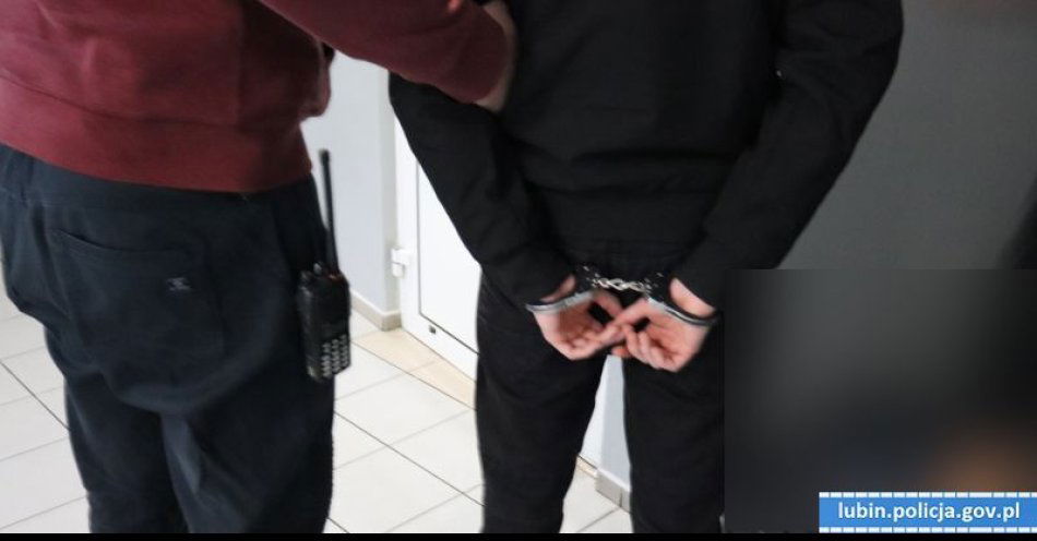 zdjęcie: Próbował ukraść robota koszącego, zatrzymany na ulicy Lubina / fot. KPP w Lubinie