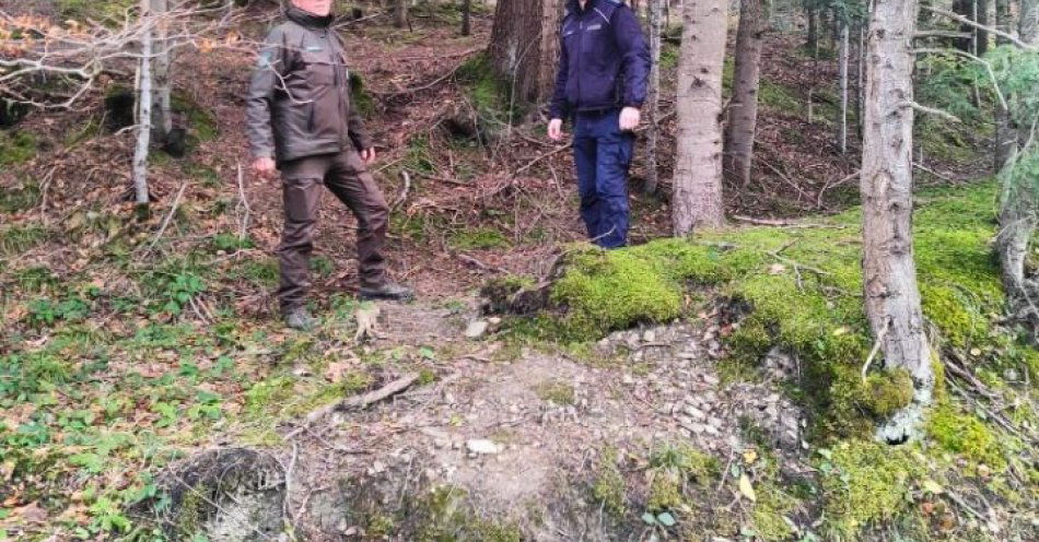 zdjęcie: Dzielnicowi i straż leśna chronią lasy przed nielegalnymi choinkami / fot. KMP w Nowym Sączu