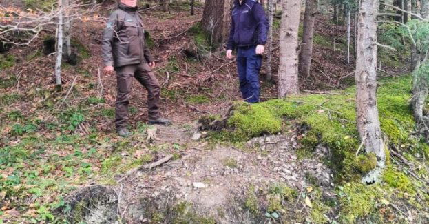 Dzielnicowi i straż leśna chronią lasy przed nielegalnymi choinkami