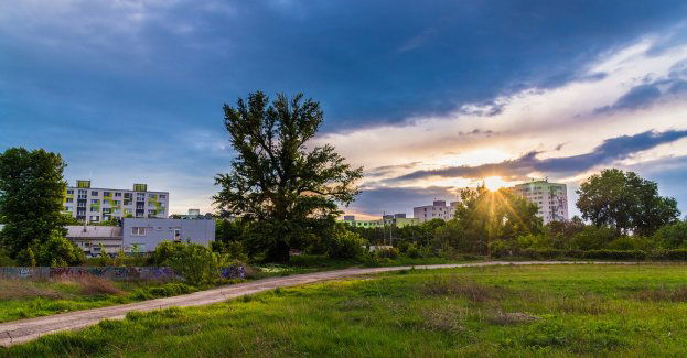 Ponad 100 tysięcy dla Zielonej Osi