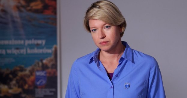 Śledź jest najchętniej wybieraną rybą przez Polaków. Może jednak zniknąć z naszych stołów w wyniku przełowienia stad