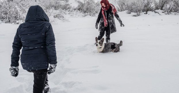 Piękna zimowa aura zachęca do spacerów po górach