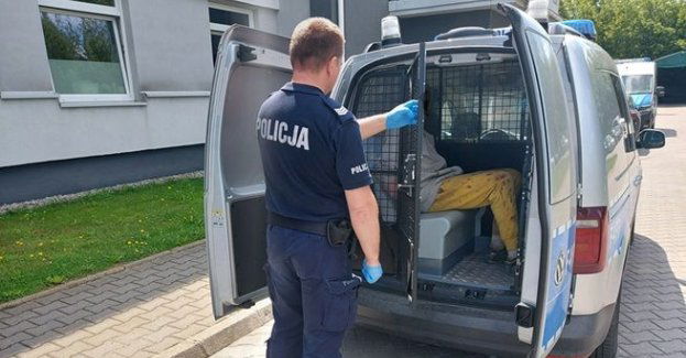 Czy w kaszance było za mało wątróbki?