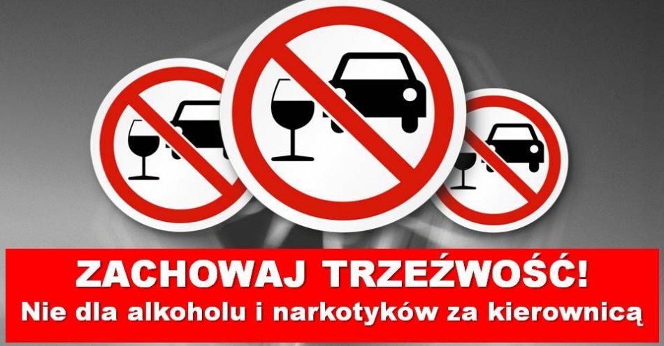 zdjęcie: Zgłosił, że uderzył samochodem w drzewo. Miał 3 promile alkoholu / fot. KPP w Gostyninie