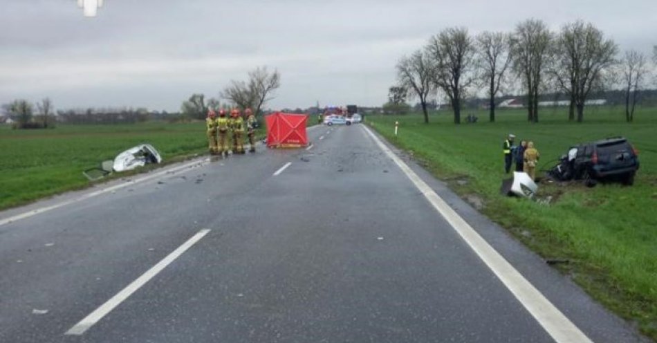 zdjęcie: Tragiczny wypadek na DK46 / fot. KPP Nysa