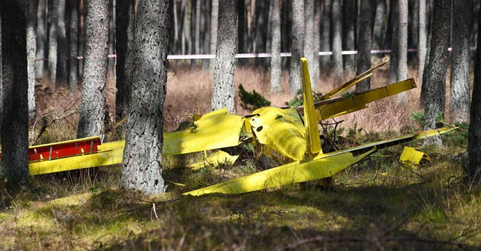 zdjęcie: W okolicy Borska spadł szybowiec; pilot zginął / fot. PAP