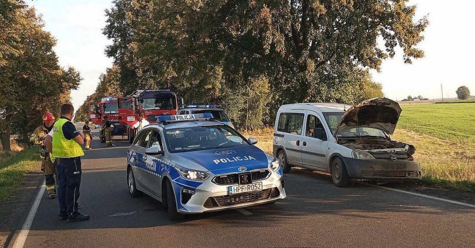 zdjęcie: Tragiczny wypadek w Kowalach / fot. KPP w Sieradzu