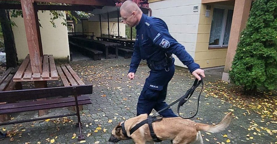 zdjęcie: Atestacja psów służbowych z bydgoskiej komendy miejskiej / fot. KWP w Bydgoszczy