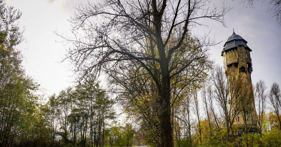 zdjęcie: Budowa drogi dla rowerów wzdłuż ul. Korczaka rozpocznie się jeszcze w tym roku. Wybrano wykonawcę inwestycji / fot. nadesłane