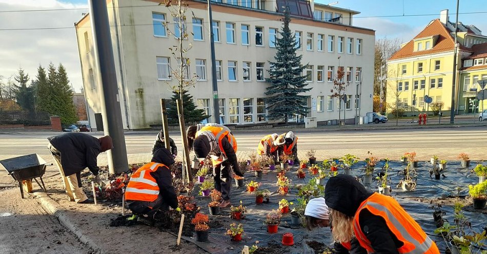 zdjęcie: Powstaje kolejna zielona przestrzeń / fot. nadesłane