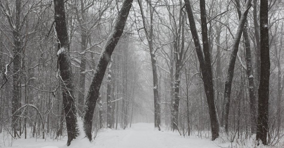 zdjęcie: Słaby śnieg na północy i wschodzie kraju; najchłodniej w rejonach podgórskich Karpat / pexels/163756