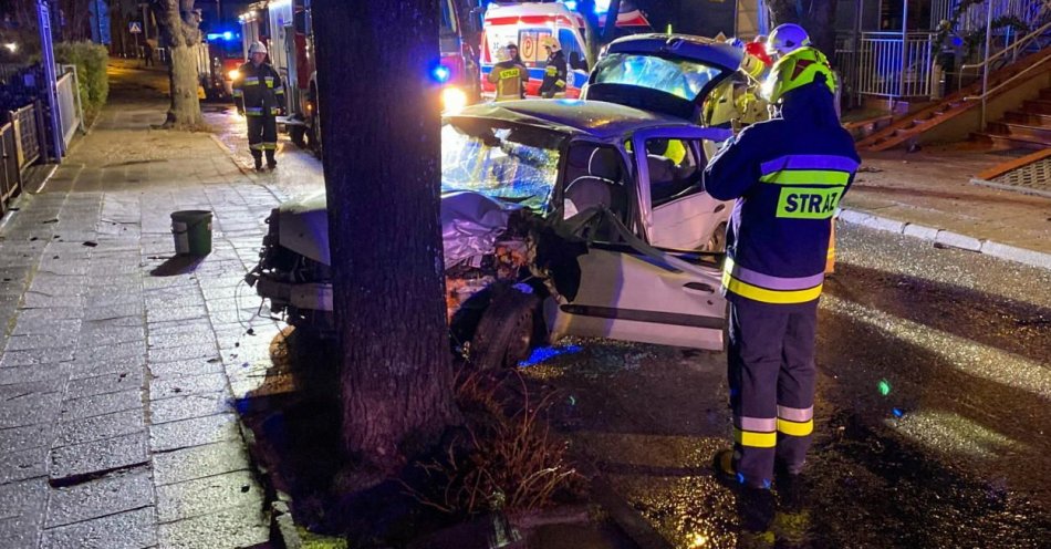 zdjęcie: Nie żyje kierowca auta, które uderzyło w drzewo w Międzyzdrojach / fot. PAP