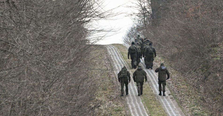 zdjęcie: Ok. 480 żołnierzy WOT prowadzi poszukiwania na wschód od Zamościa / fot. PAP