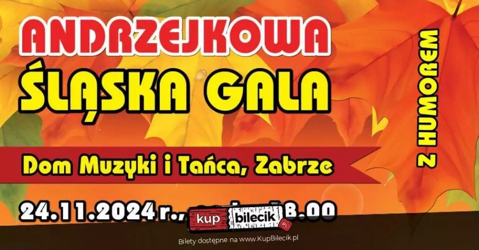 zdjęcie: XVII Andrzejkowa Śląska Gala z Humorem / kupbilecik24.pl / XVII Andrzejkowa Śląska Gala z Humorem